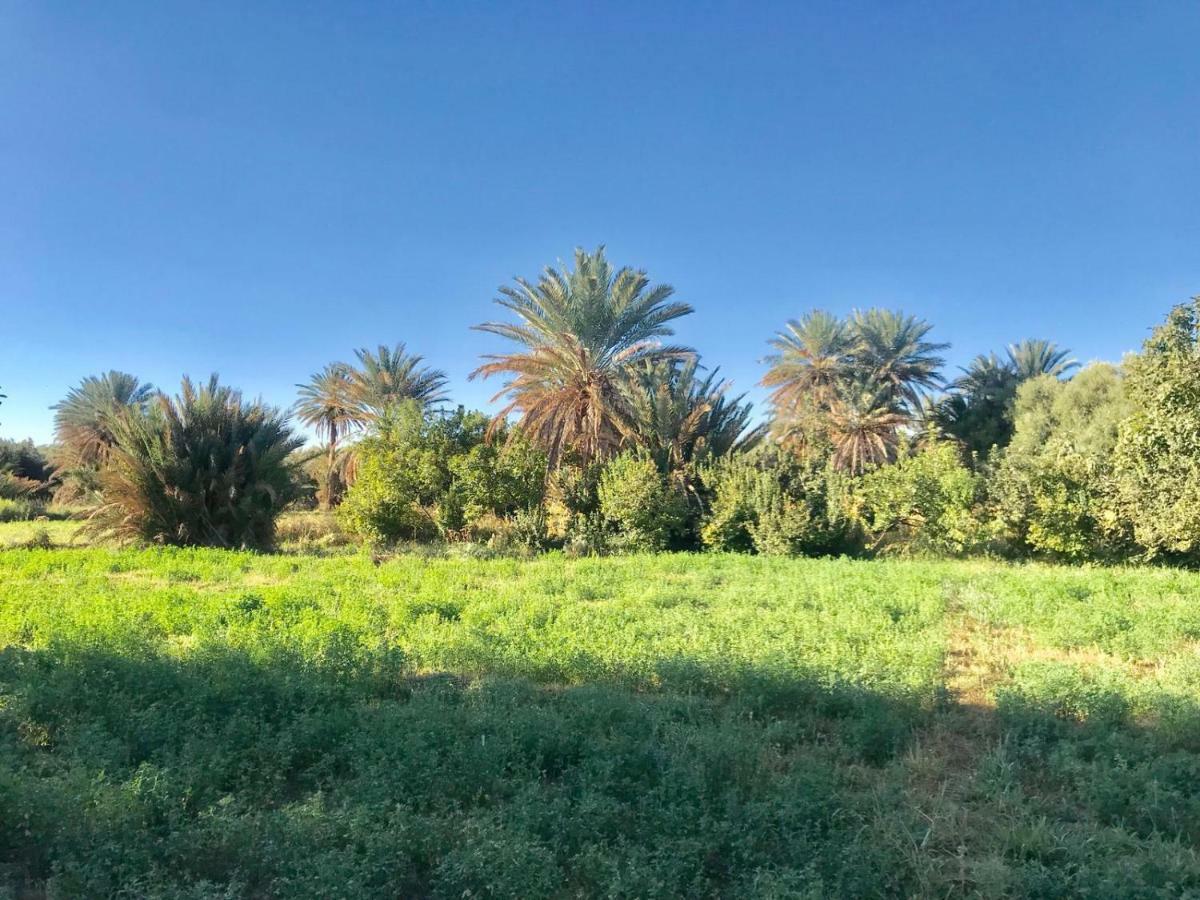 מלון א-ראשידיה Ecologie Oasis Tafilalt Chez L' Habitant מראה חיצוני תמונה